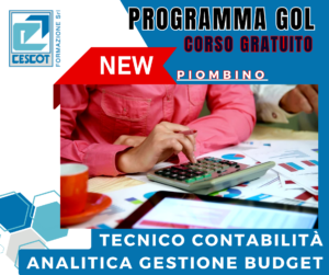 tecnico contabilità analitica gestione del budget